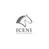 Iceni Financial Advisers